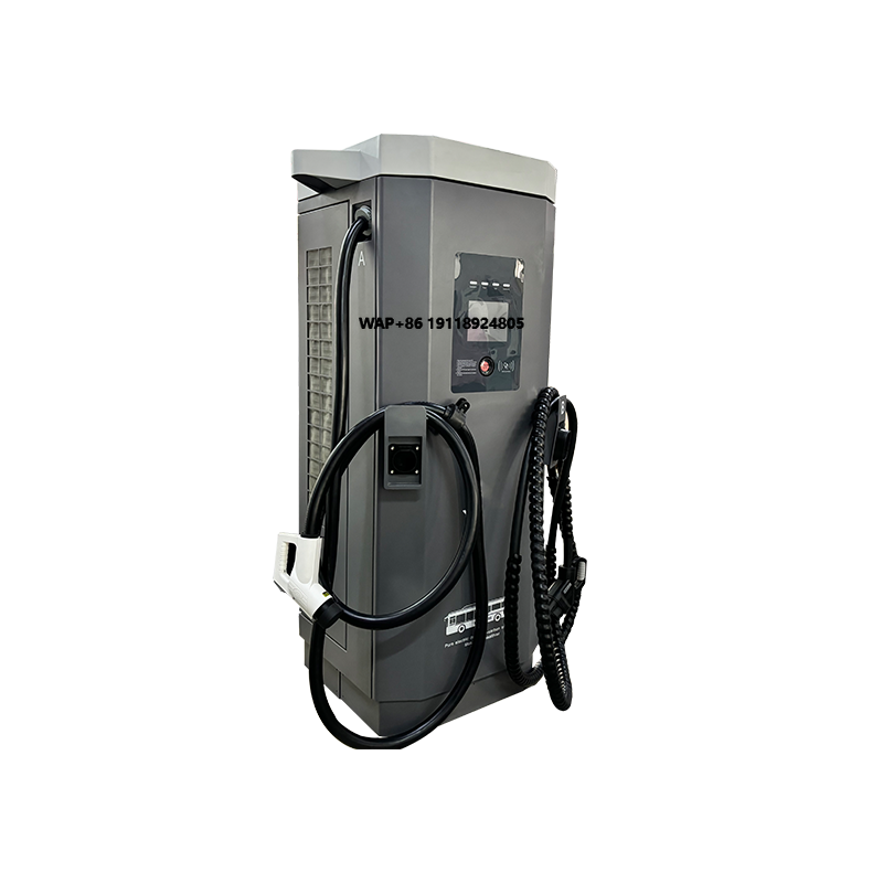 60kW DC 전기차 충전기, 바닥 설치형 고속 충전소 - Ev Charging Pile 리뷰 및 가격